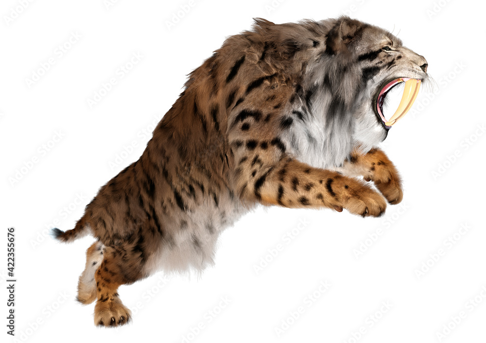Fototapeta premium 3D Rendering Sabertooth Tiger on White