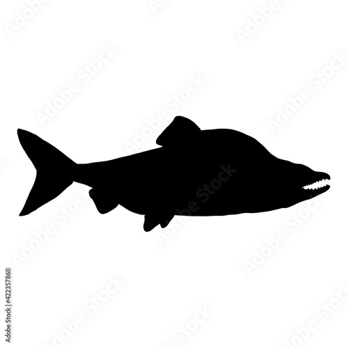 Silhouette Humpback Salmon Fish Vector Illustration