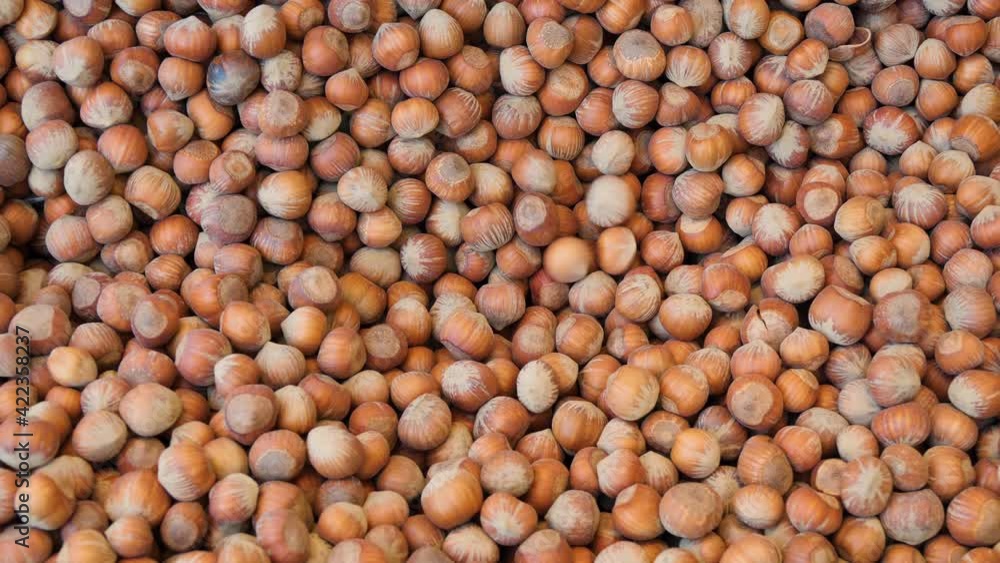 Hazelnuts selection process at production factory Hazelnuts selection process at production factory