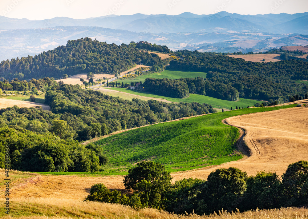 Rolling hills, golden meadow and green landscape in Tuscany, Italy