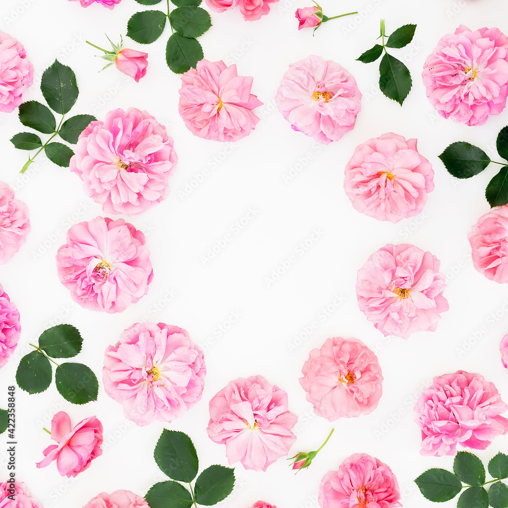 Floral frame of pink roses on white background. Flat lay