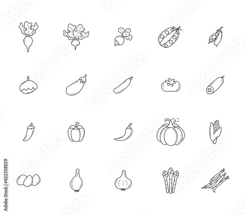 Vegetables. Outline icons set. Simple vector illustration  eps