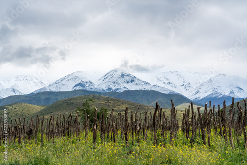 Argentina, District of Mendoza, the Uco Valley. Beautiful road 89. La Carrera, Tupungato to Mendoza