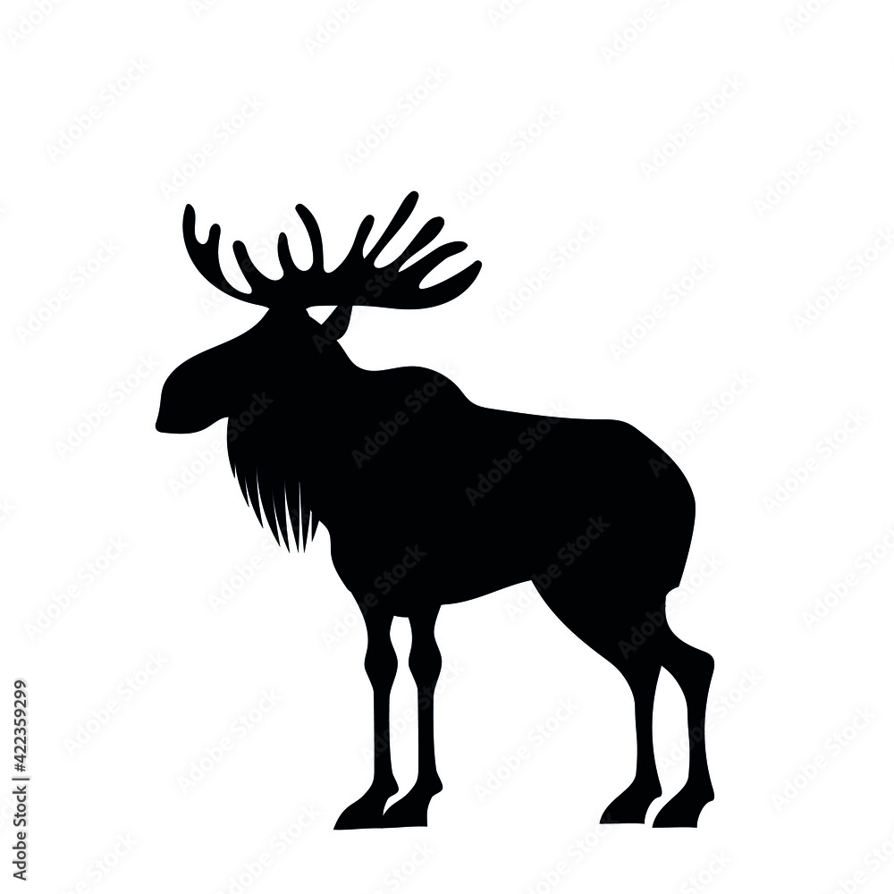 Obraz premium elch_s