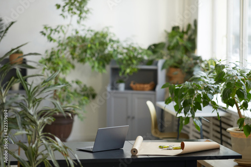 Background image of minimal office interior decorated with many green plants, orangery and florist concept, copy space