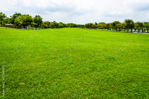A large area of green meadow in the park