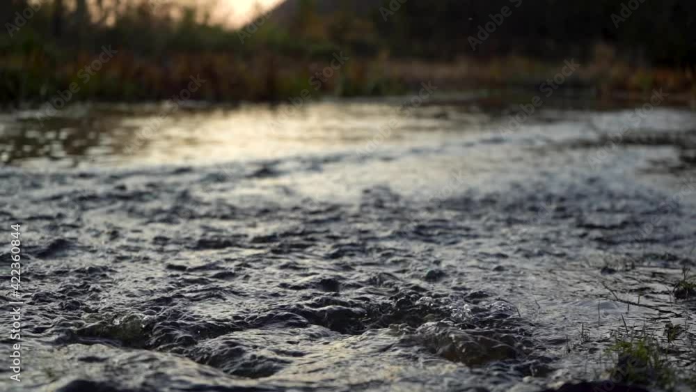 Slow Motion: Stream of the Forest River in the Evening Twilight. Wild River Abundant Clear Stream. Close-Up Slow Motion: Stream of the Forest River in the Evening Twilight. Wild River Abundant Clear Stream. Close-Up