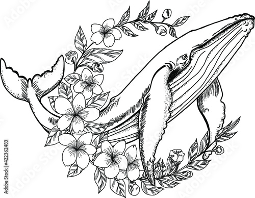 hand drawn Whale with Sakura flower.Cherry blossom in circle with big fish design for tattoo.Whale tattoo for women isolate on white.