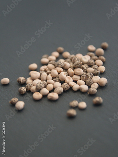 Lupinus perennis, Lupinus angustifolius, lupine beans, seeds of Ornamental lupins, legume family Fabaceae