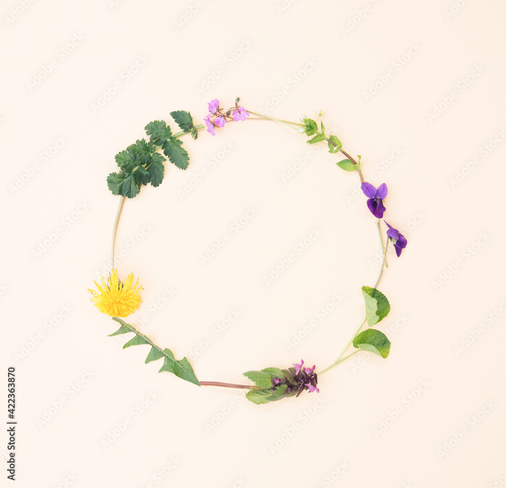 A wreath of spring flowers, dandelion and violet on light yellow background. Spring copy space flat lay.