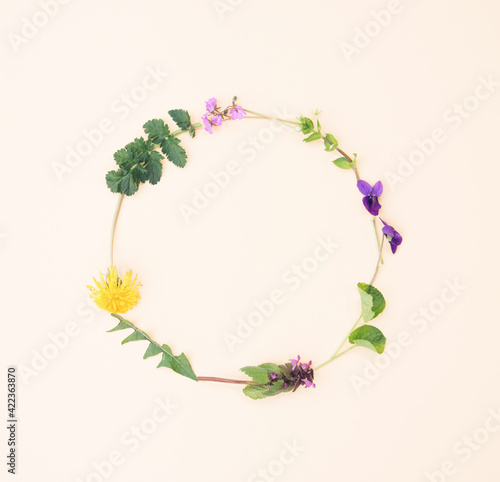 A wreath of spring flowers, dandelion and violet on light yellow background. Spring copy space flat lay.
