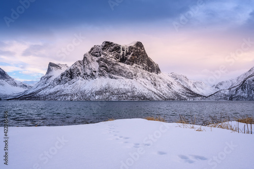 mountains with a fjord near the village of Fylkesvei photo