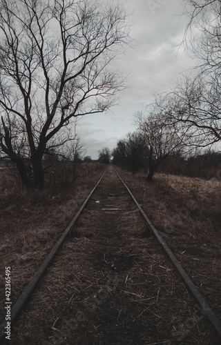 railroad tracks in the morning