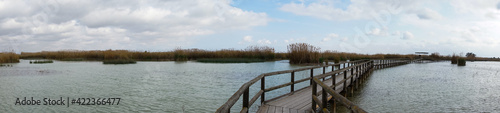 Fototapeta Naklejka Na Ścianę i Meble -  panorama of  a long wooden pier and boardwalk in brackish water wetlands with esparto grass and lagoon under an overcast sky