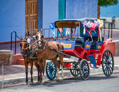 horse and carriage in nicaragua