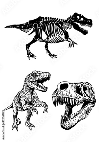 Graphical set of dinosauruses isolated on white ,vector illustration
