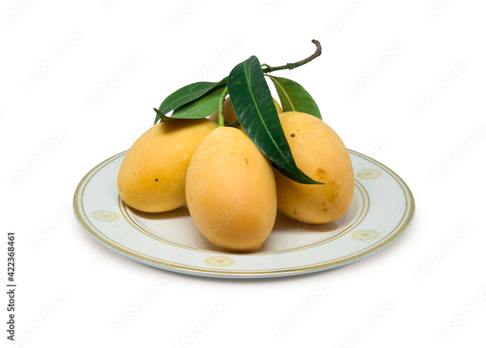 Yellow Marian Plum isolated with clipping path