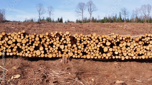 A felled forest with large piles of wood from above photo