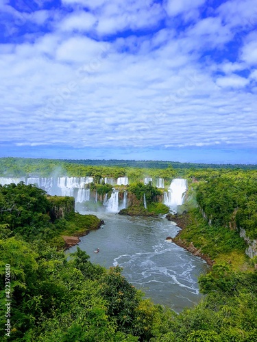 view of the river in the forest