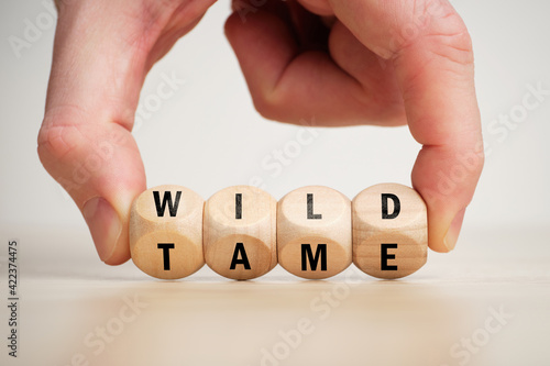 Concept of antonym wild and tame on wooden blocks