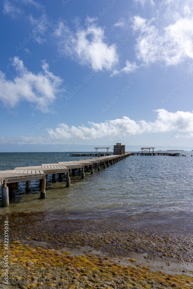 wooden boardwalk leading out into the ocean to a public bath installation