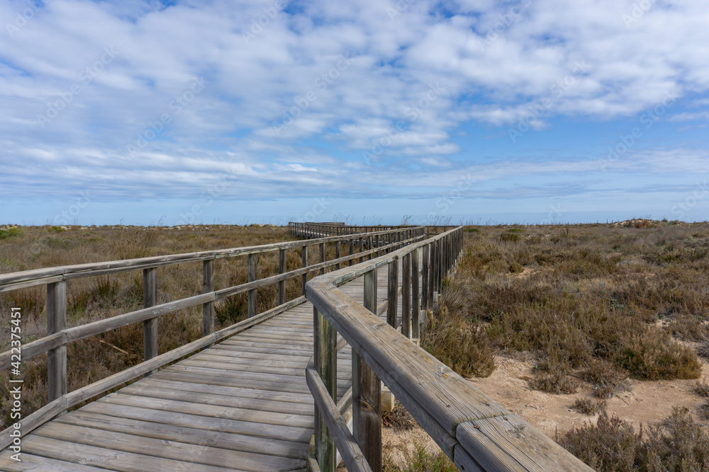 wooden boardwalk leading through coastal marshlands and sand dunes
