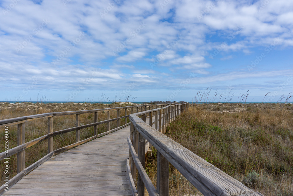 wooden boardwalk leading through coastal marshlands and sand dunes