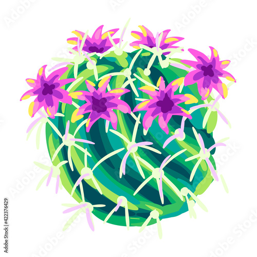 Illustration of cactus. Decorative spiky mexican cacti.