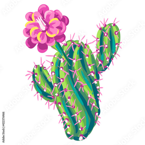 Illustration of cactus. Decorative spiky mexican cacti.