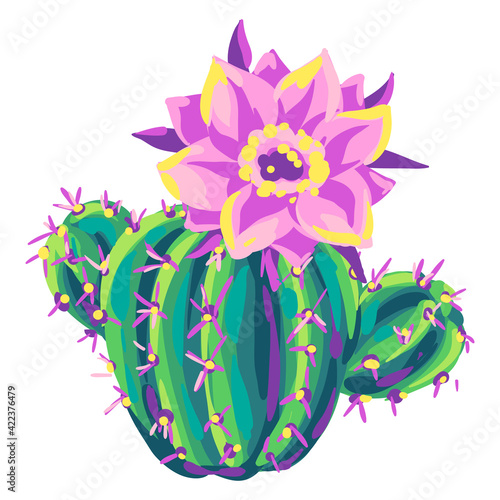 Illustration of cactus. Decorative spiky mexican cacti.