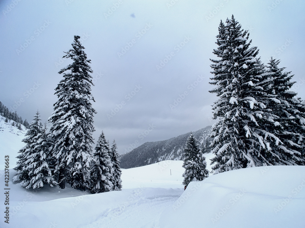 Obraz premium Winterwanderung 