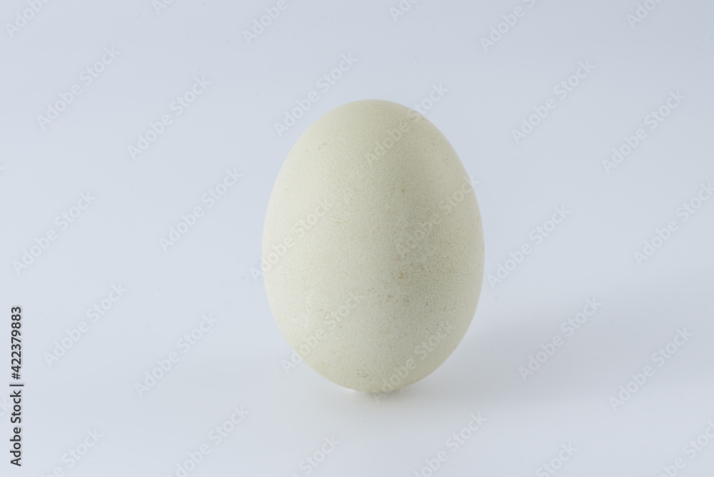 Egg on a light background Egg on a light background