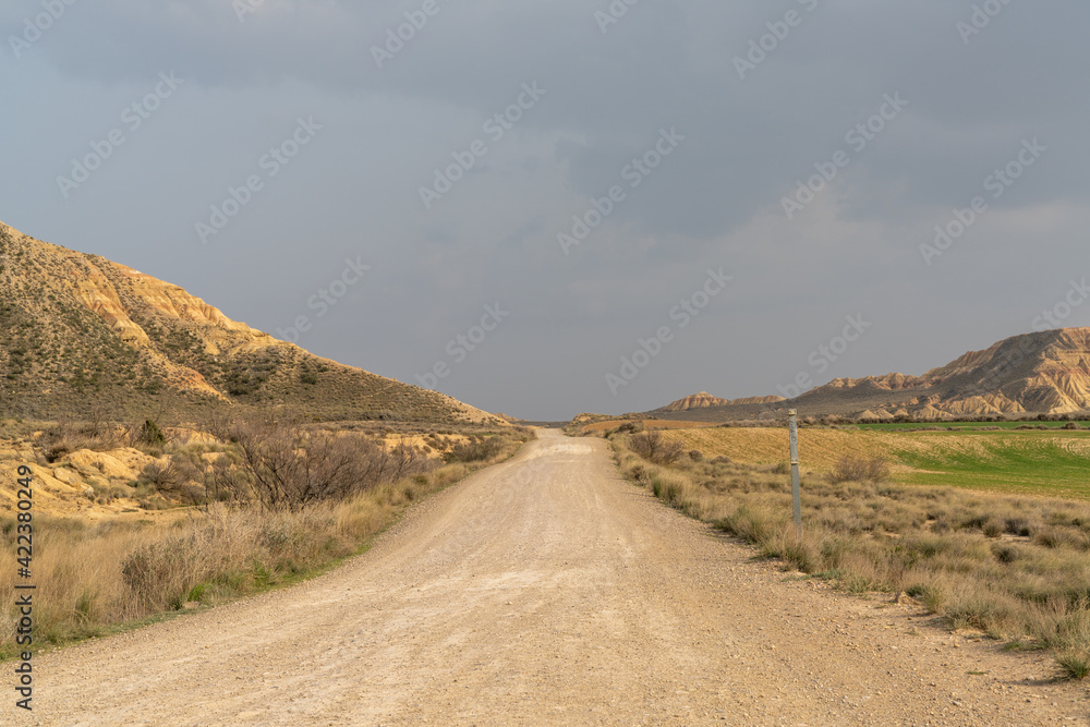 gravel road leading into a wild desert landscape under an expressive cloudy sky