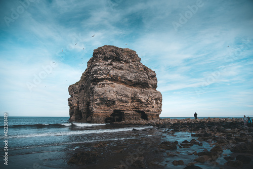 rocks on the beach