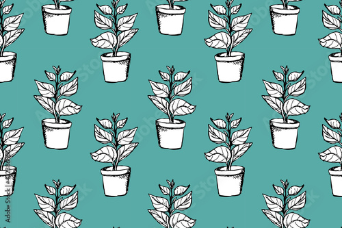 Outlined ficus plant in white pot vector seamless pattern. Hand drawn doodle house gardening pattern with monochrome botanical elements on blue background. Benjamin fig or Rubber fig element. EPS10