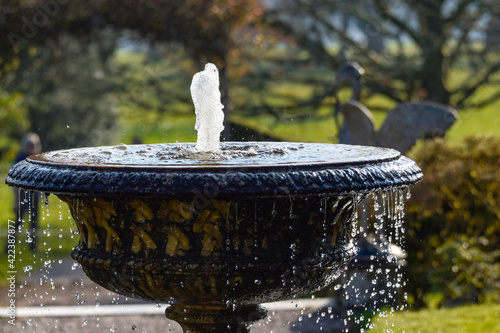 fountain in the park