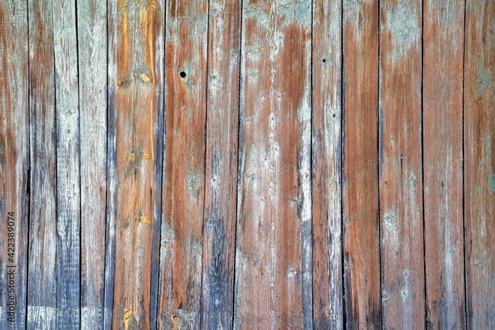 Naklejka premium Texture of old painted wooden planks with peeling paint covered with cracks close-up.