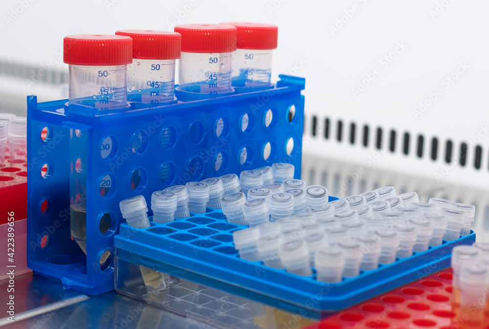 Two laboratory racks and test tubes are placed side by side in a sterile laminar flow cabinet. Two laboratory racks and test tubes are placed side by side in a sterile laminar flow cabinet.