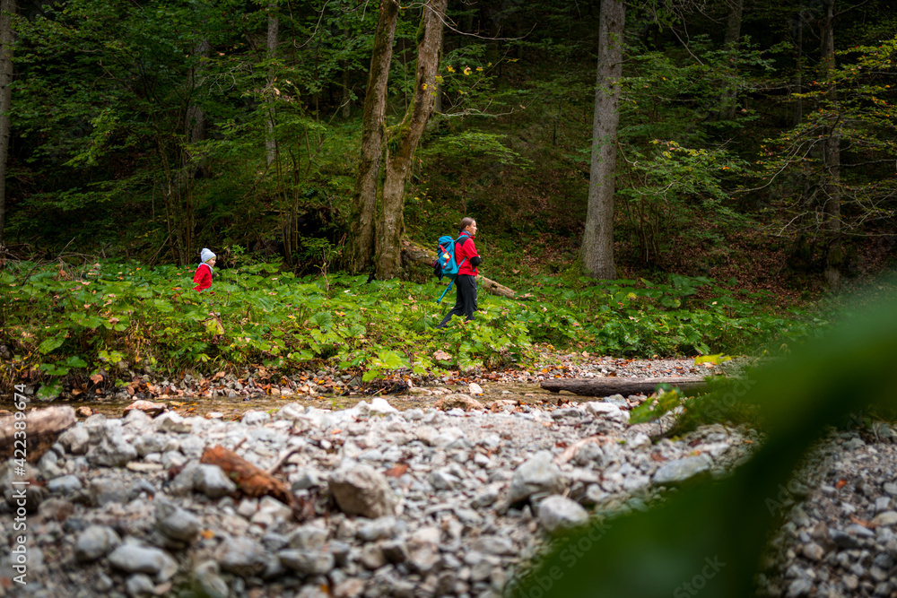 Obraz premium Two backpackers (a woman with a little son) are walking along a creek in a canyon of the Slovak Paradise National Park, Slovakia.