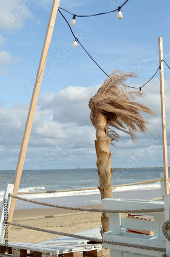 Relaks plaża morze Bałtyckie