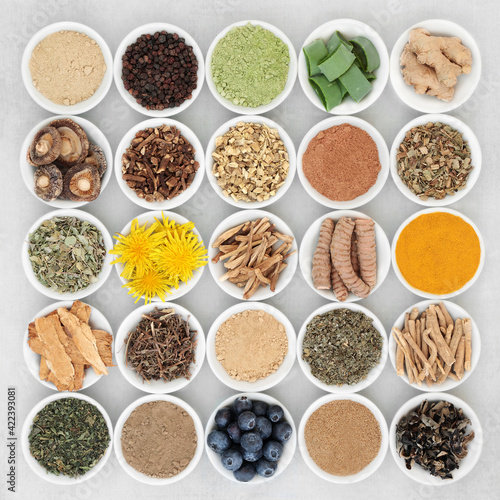 Plant based adaptogen healthy food collection with herbs, spices, fruit & supplement powders. Natural foods that help the body deal with stress & promote or restore normal physiological functions.