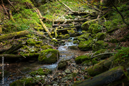 The trail through the beautiful canyon of the Slowacki Raj National Park