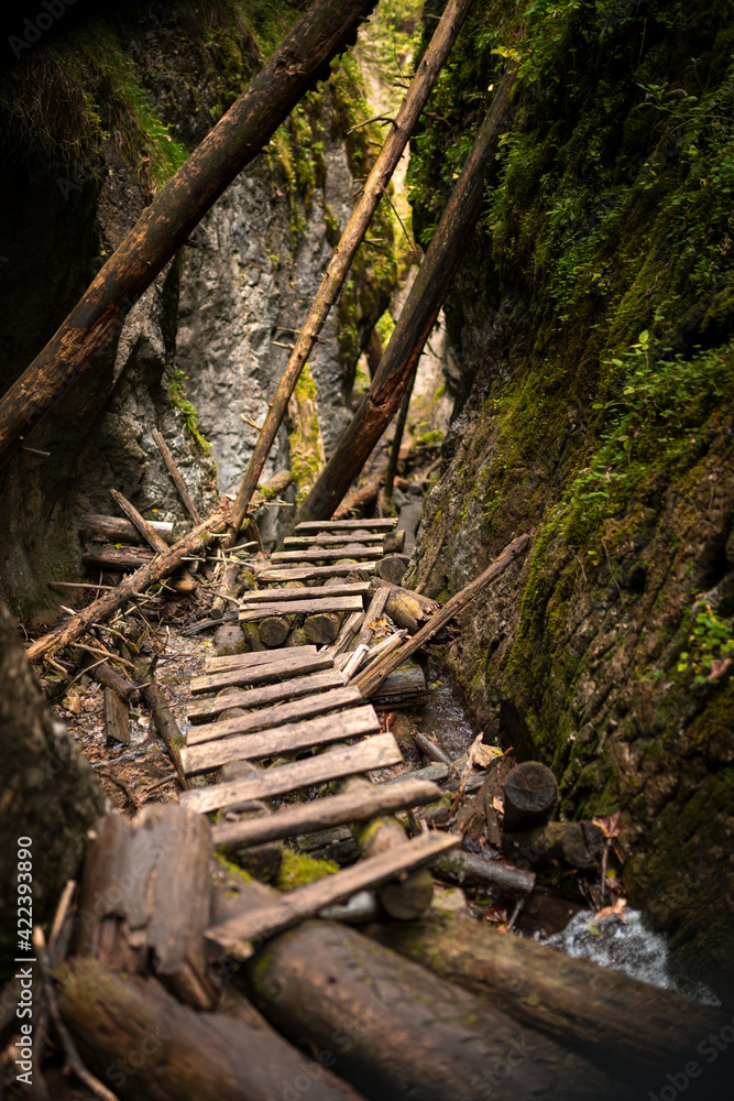Wooden ladders over the stream in the gorges of the Slovak Paradise Wooden ladders over the stream in the gorges of the Slovak Paradise
