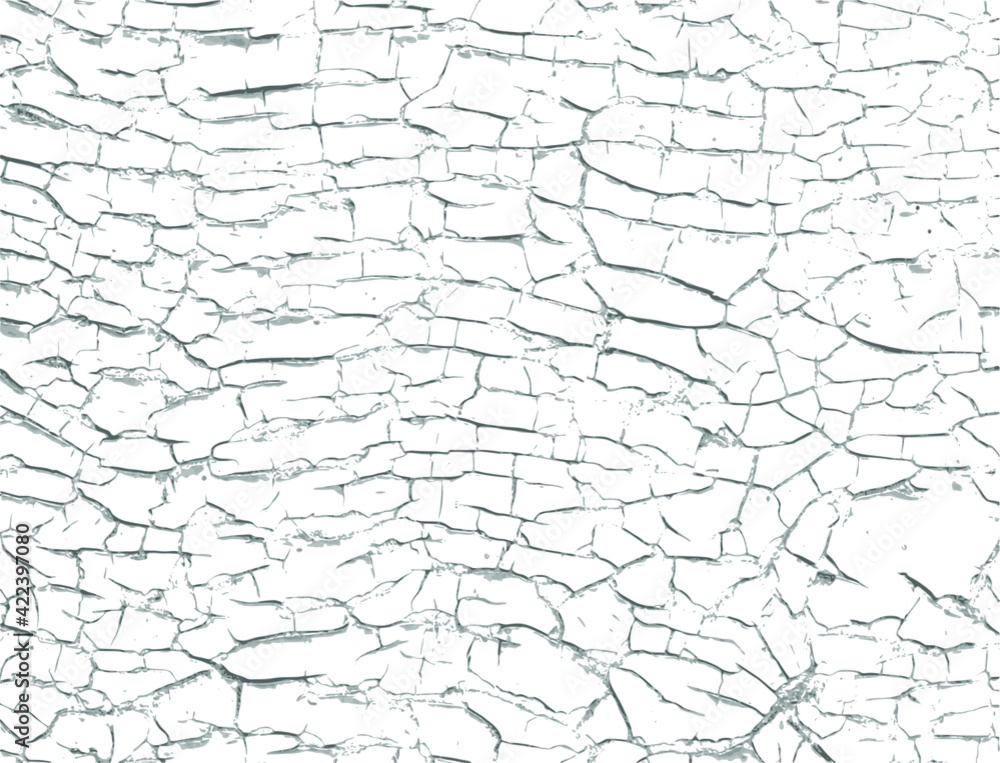 Black and white monochrome grunge pattern. Cool texture of cracks, stains, scratches, splash for print and design. Cracked oil paint on wooden surface. Vector EPS10 overlay. Black and white monochrome grunge pattern. Cool texture of cracks, stains, scratches, splash for print and design. Cracked oil paint on wooden surface. Vector EPS10 overlay.