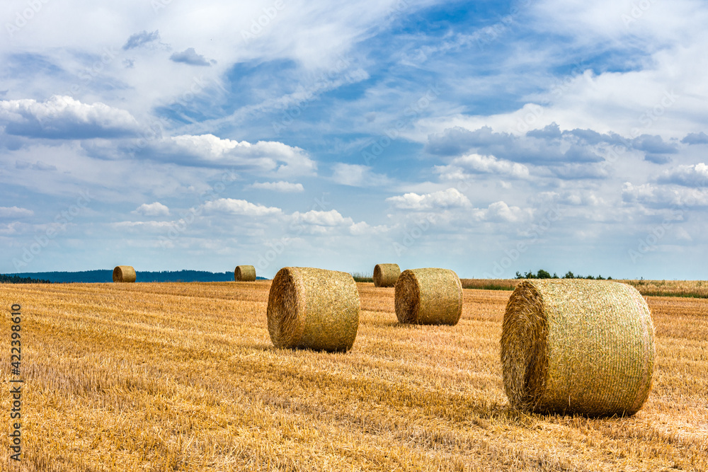 Agrarlandschaft  mit goldenen Strohballen vor attraktivem sonnigen Wolkenhimmel