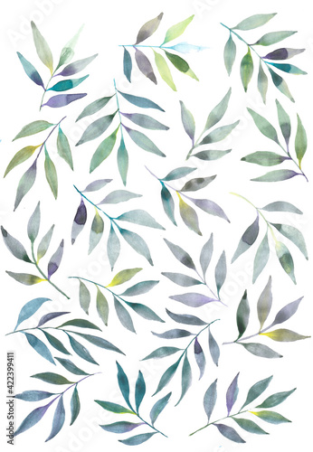 Watercolor floral illustration set - green leaf branches collection, for wedding stationary, fabrics, scrapbooking, greetings, wallpapers, fashion, background. Eucalyptus, olive, green leaves, etc