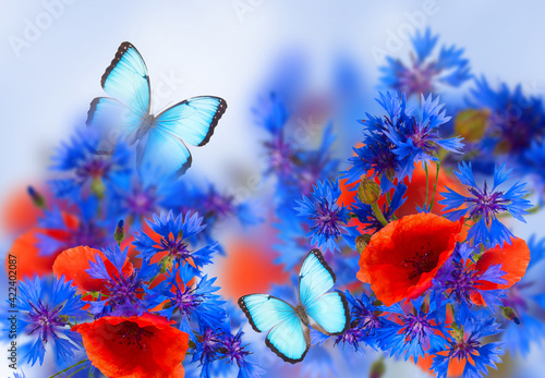 poppy and cornflower bouquet photo