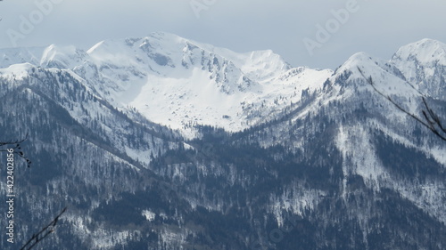 Alps, Crna prst, Rodica © Marina