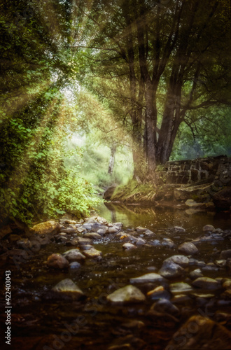 Bucolic small stream flows slowly past a rustic stone wall through large trees in a steep glen on a sunny summer morning with sun-rays breaking through the branches