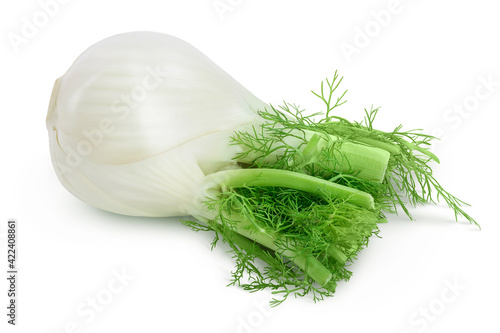 fresh fennel bulb isolated on white background with clipping path and full depth of field